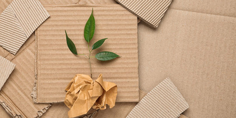 Sustainable Packaging Alternatives